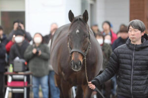 ［イベントレポート］日本軽種馬協会七戸種馬場・合同展示会をたずねて
