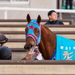 ［重賞回顧］メンコの星は”大金星”！　西園正都調教師にはなむけの勝利を～2026年・シルクロードステークス～ 