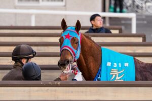 ［重賞回顧］メンコの星は”大金星”！　西園正都調教師にはなむけの勝利を～2026年・シルクロードステークス～ 