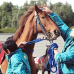 テイエムオペラオー - 2000年京都記念、王道の幕が上がった日