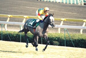 父メジロマックイーンが残した悔しさを、娘エイダイクインが回収した日 - 1998年クイーンカップ