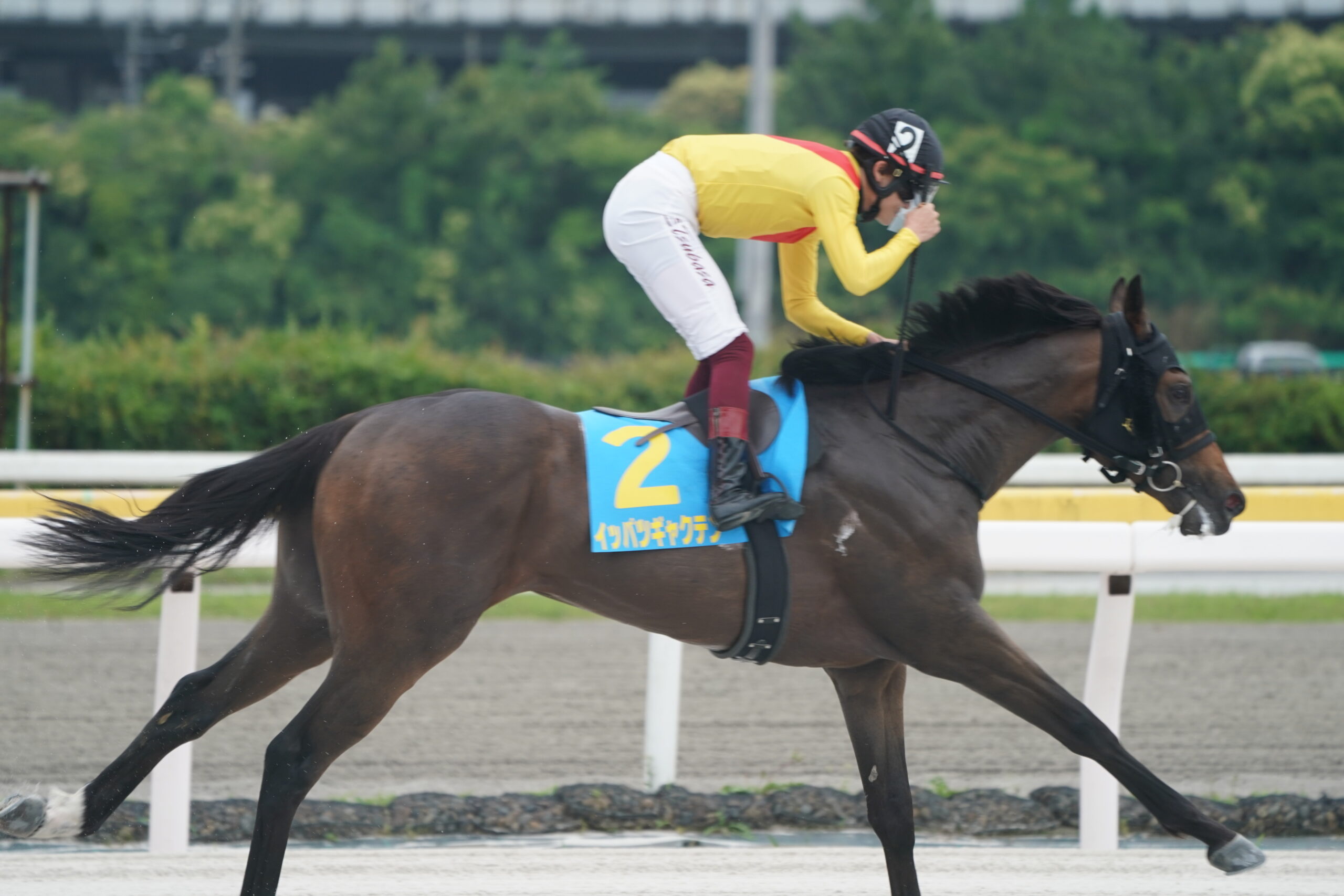 一発逆転を目指して。イッパツギャクテンが一発逆転ファイナルレースに出走