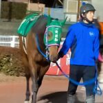 一発逆転ならず…高知所属の人気者イッパツギャクテン、一発逆転ファイナルレースで9着