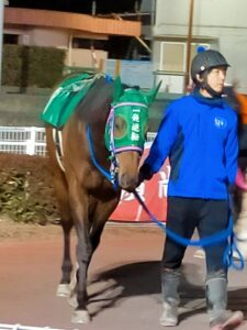 一発逆転ならず…高知所属の人気者イッパツギャクテン、一発逆転ファイナルレースで9着