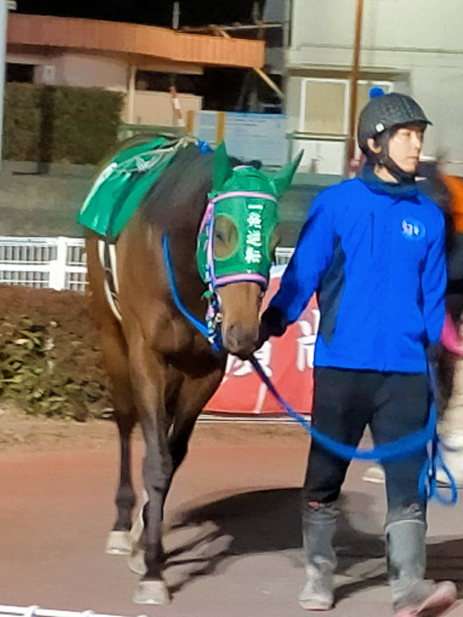 一発逆転ならず…高知所属の人気者イッパツギャクテン、一発逆転ファイナルレースで9着