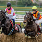 きらめきは、確かにそこにあった  - 2025年 阪神スプリングジャンプ
