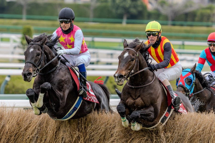 きらめきは、確かにそこにあった - 2025年 阪神スプリングジャンプ