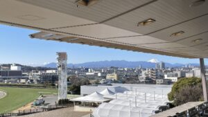 極寒の時代を忘れさせた切れ味。シルクフォーチュンが驚異的な末脚で制した2012年根岸Sを振り返る