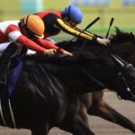 東京競馬場に王威を示す - ダノンキングリーの安田記念戴冠