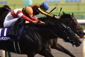 東京競馬場に王威を示す - ダノンキングリーの安田記念戴冠