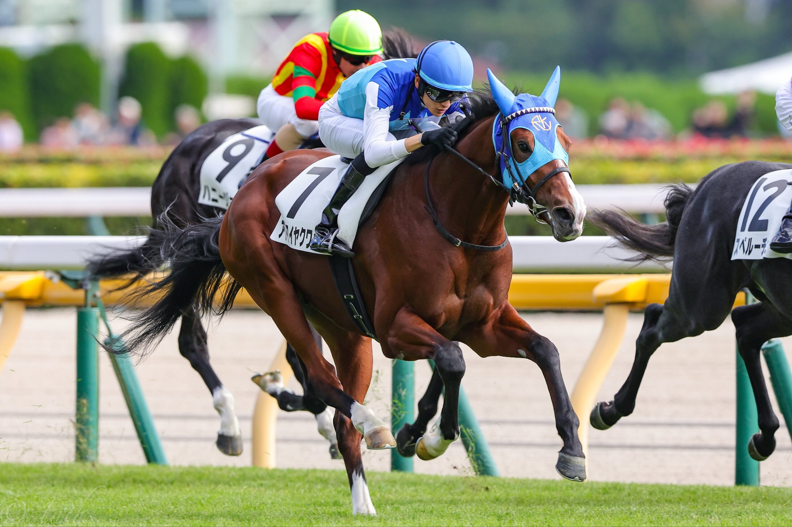 ［今週の競馬］いよいよ春競馬開幕！　西は桜花賞トライアル、東は皐月賞トライアル！