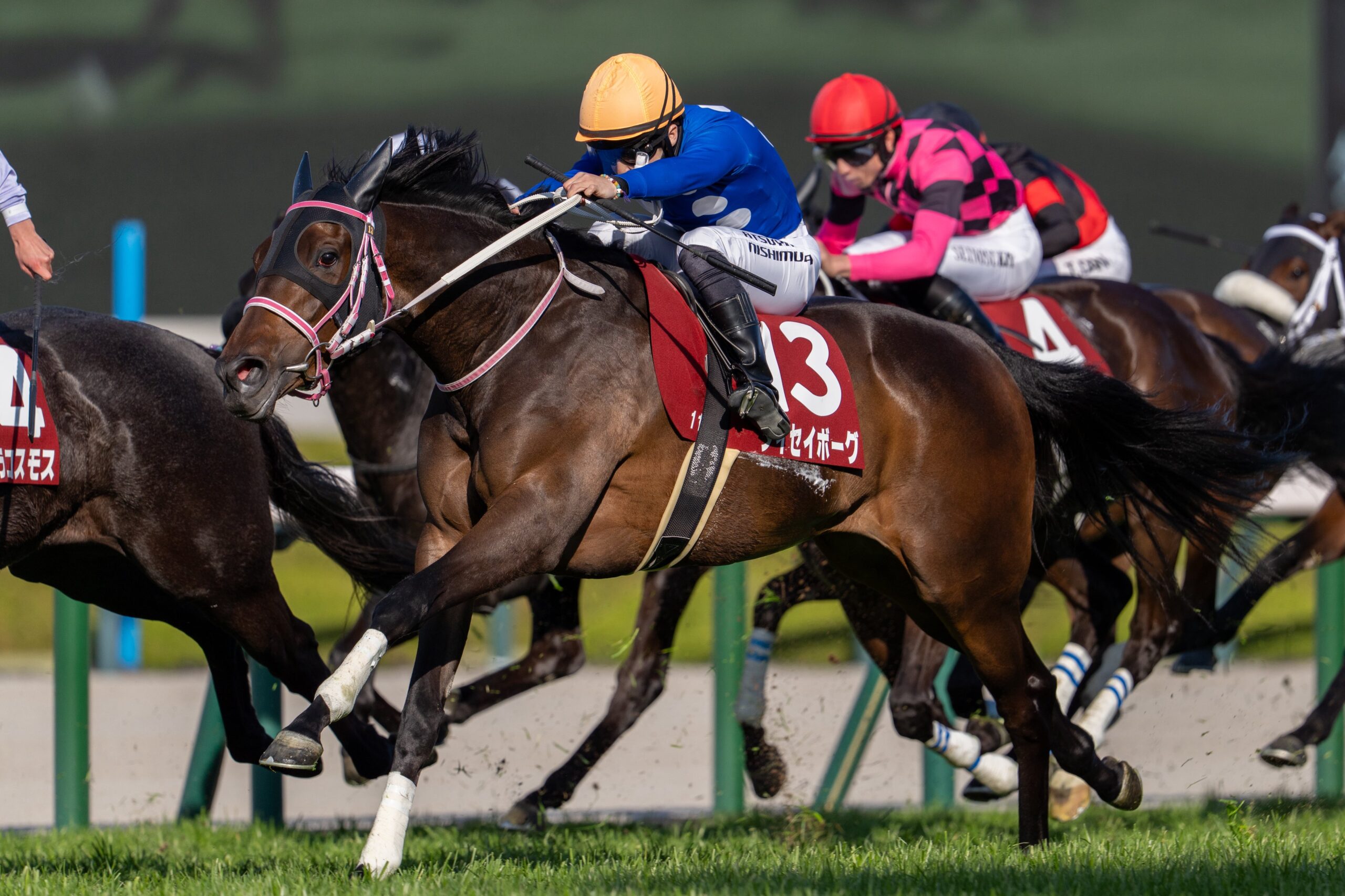 ［重賞回顧］惜敗にサラバ！いざ桜の女王へ～2026年・チューリップ賞～ 