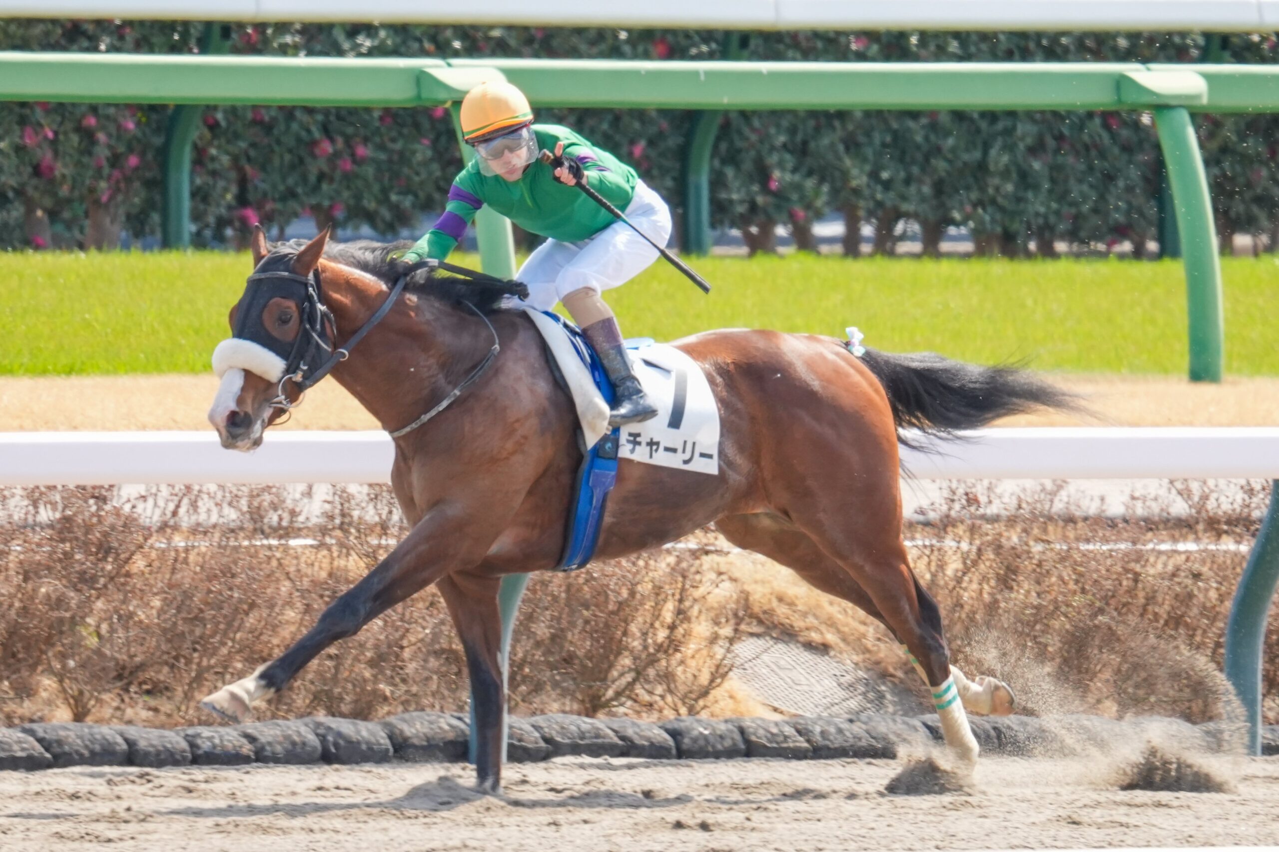 ［リーディング］騎手部門はルメール騎手がダントツトップに！ 春開催を前に2位へ9勝のアドバンテージ