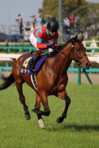 ［弥生賞ディープインパクト記念］サトノクラウン、エイシンチャンプ、カデナ。福永祐一騎手とのコンビで弥生賞ディープインパクト記念を制した馬たち