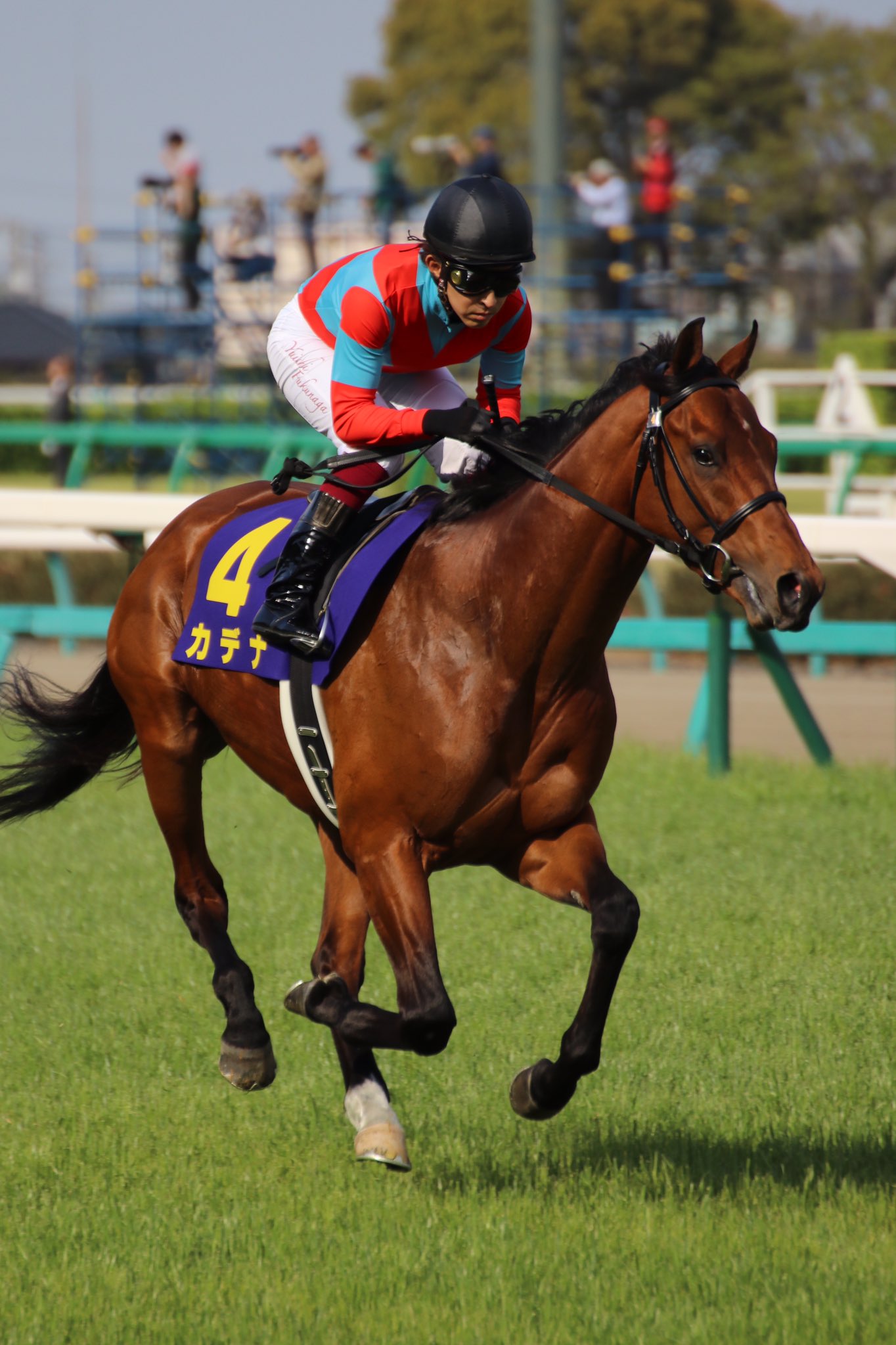 ［弥生賞ディープインパクト記念］サトノクラウン、エイシンチャンプ、カデナ。福永祐一騎手とのコンビで弥生賞ディープインパクト記念を制した馬たち