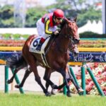 ステルヴィオ - 急峻な峠道を越えた先に