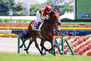 ステルヴィオ - 急峻な峠道を越えた先に