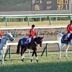 赤と緑の夢の行方 - マイネルチャールズが駆けた春