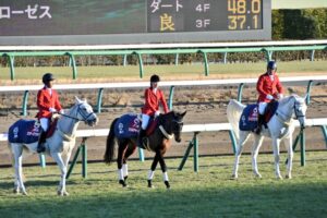 赤と緑の夢の行方 - マイネルチャールズが駆けた春