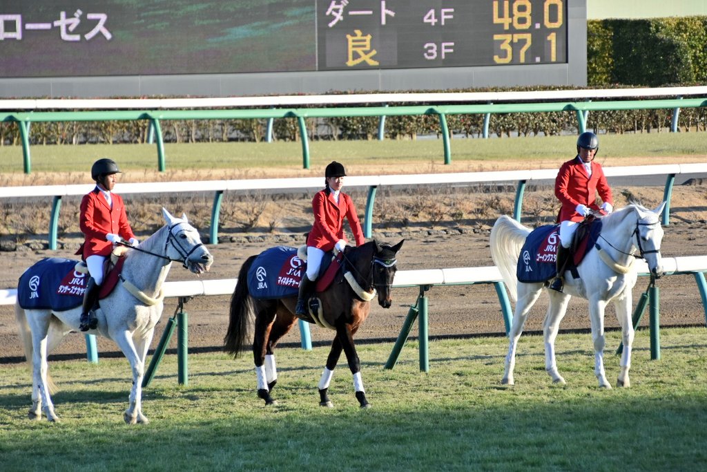 赤と緑の夢の行方 - マイネルチャールズが駆けた春
