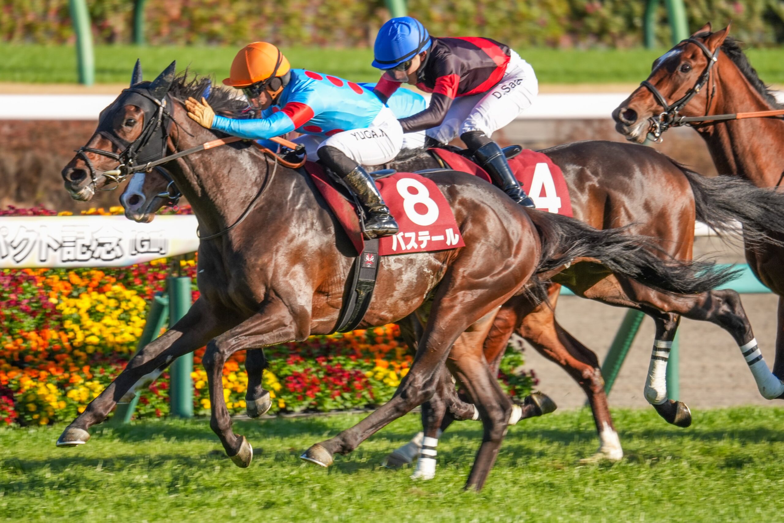 ［重賞回顧］外一気の末脚。バステールが皐月賞制覇へ駆け出す～2026年・弥生賞～ 