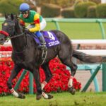 ［今週の競馬］今年初の中京開催スタート！　日曜には金鯱賞が開催