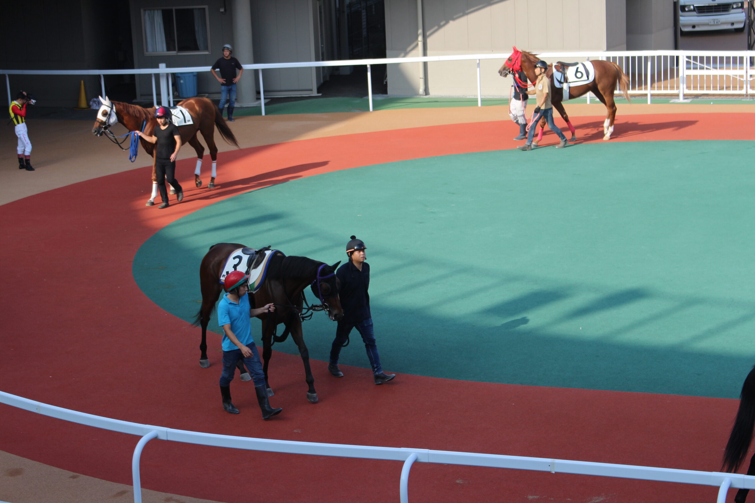 ［連載・片目のサラブレッド福ちゃんのPERFECT DAYS］ルリモハリモの能力試験（シーズン2-7）