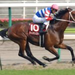 ［金鯱賞］　サイレンススズカ、ジャックドール、タップダンスシチー。逃げ切りで金鯱賞を制した馬たち