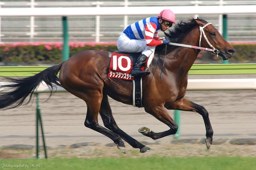 ［金鯱賞］　サイレンススズカ、ジャックドール、タップダンスシチー。逃げ切りで金鯱賞を制した馬たち