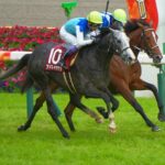 ［今週の競馬］中山、阪神、中京で春を彩る4重賞が開催！