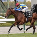 ［リーディング］春の中京開催スタート、上位陣が引き続き好調