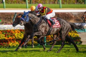 ［重賞回顧］母の誕生日に、百合の花束を～2026年・スプリングステークス～ 