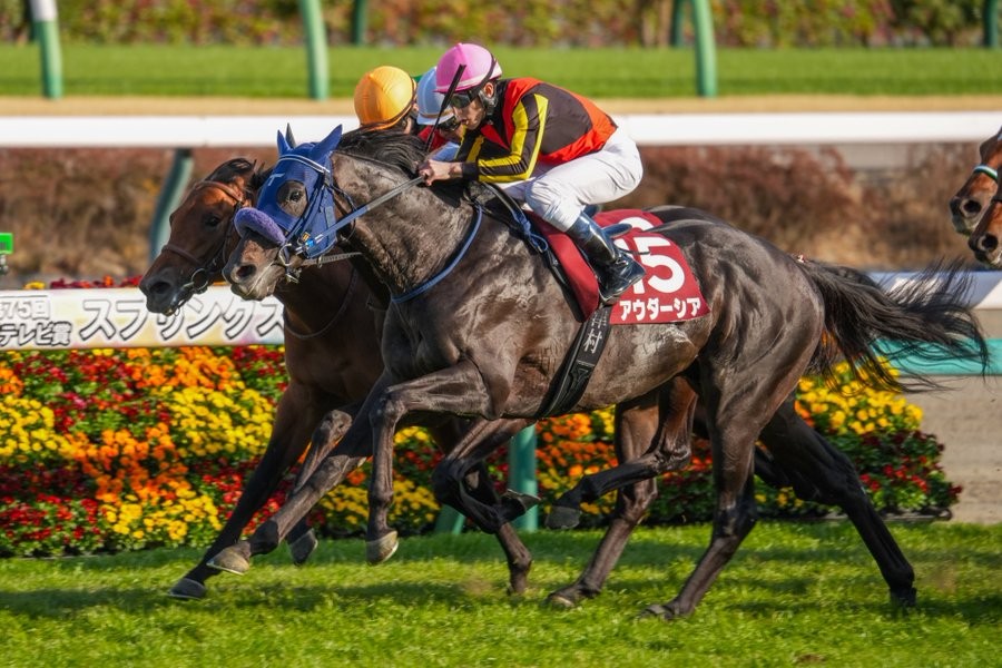 ［重賞回顧］母の誕生日に、百合の花束を～2026年・スプリングステークス～ 