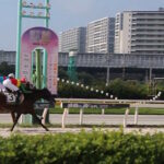 ［連載・片目のサラブレッド福ちゃんのPERFECT DAYS］時間こそが体験を深める（シーズン2-8）