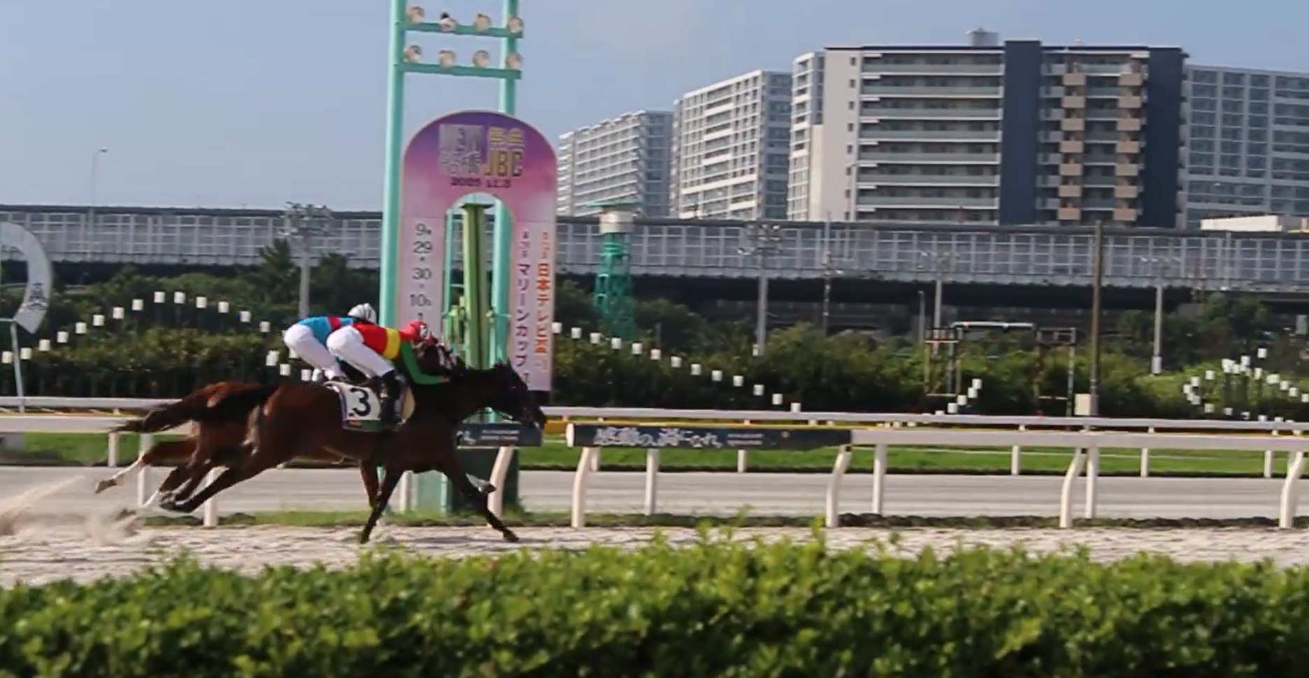 ［連載・片目のサラブレッド福ちゃんのPERFECT DAYS］時間こそが体験を深める（シーズン2-8）