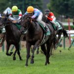 ［今週の競馬］いよいよ春のG1シーズン開幕！ 尾張の舞台で電撃の6ハロン戦、高松宮記念が開催