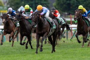 ［今週の競馬］いよいよ春のG1シーズン開幕！ 尾張の舞台で電撃の6ハロン戦、高松宮記念が開催