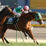 善臣さんにしかできない競馬。オレハマッテルゼの高松宮記念