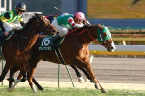 善臣さんにしかできない競馬。オレハマッテルゼの高松宮記念