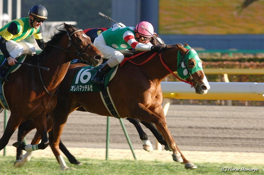 善臣さんにしかできない競馬。オレハマッテルゼの高松宮記念