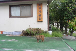 ［連載・片目のサラブレッド福ちゃんのPERFECT DAYS］今を生きる（シーズン2-9）