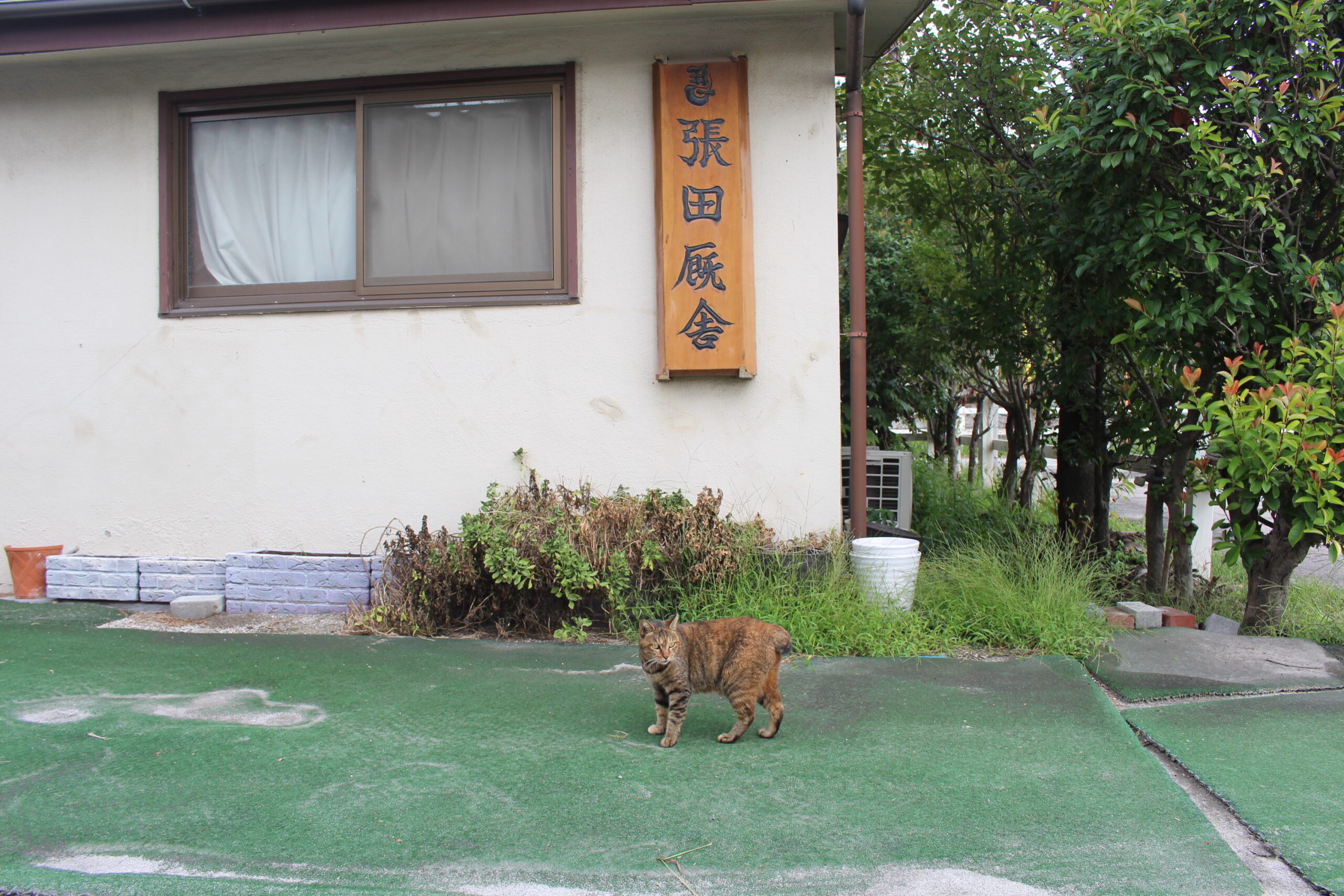 ［連載・片目のサラブレッド福ちゃんのPERFECT DAYS］今を生きる（シーズン2-9）