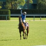 ナランフレグ〜分厚い雲を突き抜けて射した一条の陽光〜