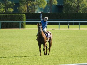 ナランフレグ〜分厚い雲を突き抜けて射した一条の陽光〜