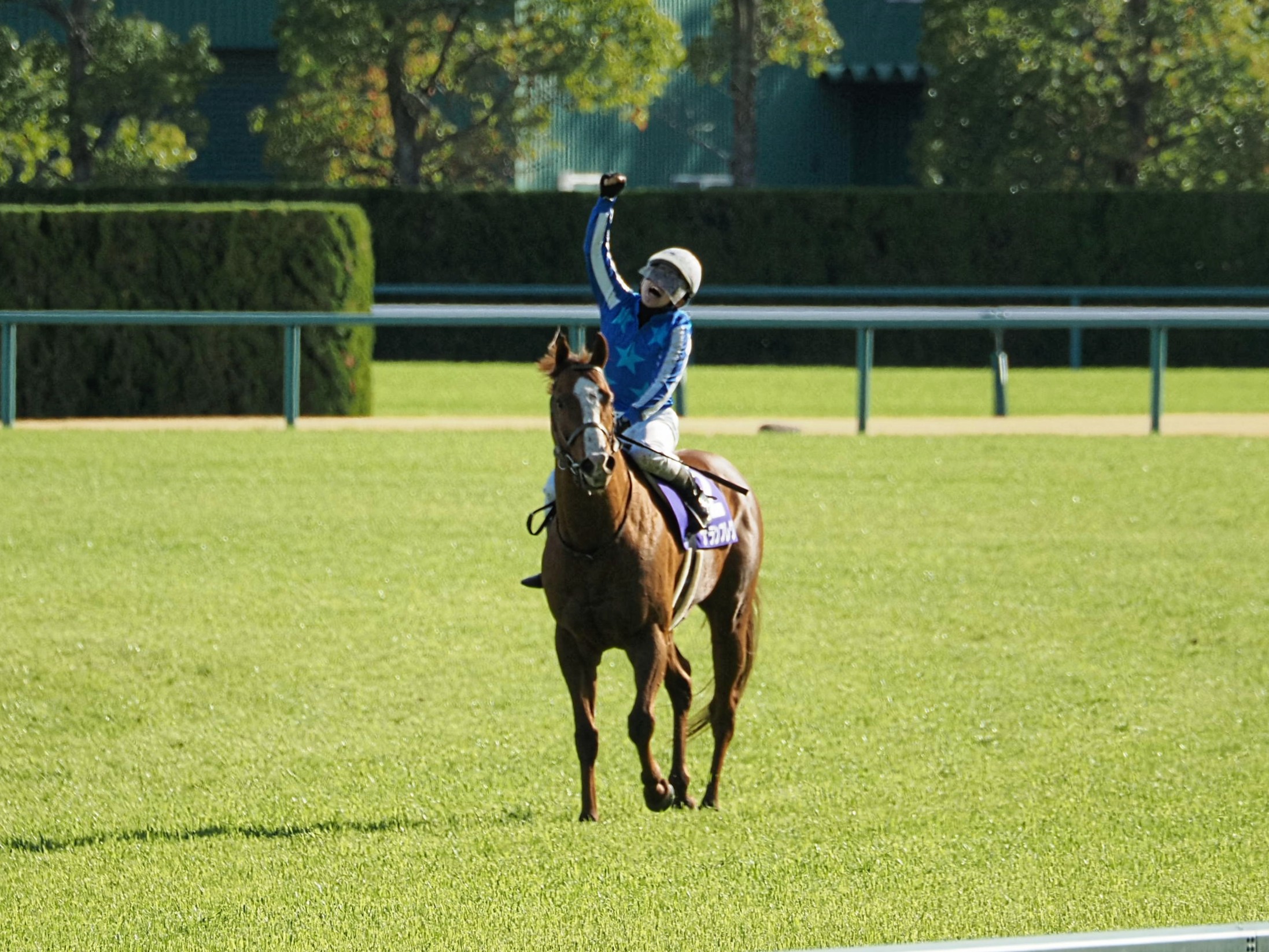 ナランフレグ〜分厚い雲を突き抜けて射した一条の陽光〜