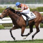 ［リーディング］調教師、種牡馬部門でリーディングトップが1ヶ月ぶりに入れ替わる