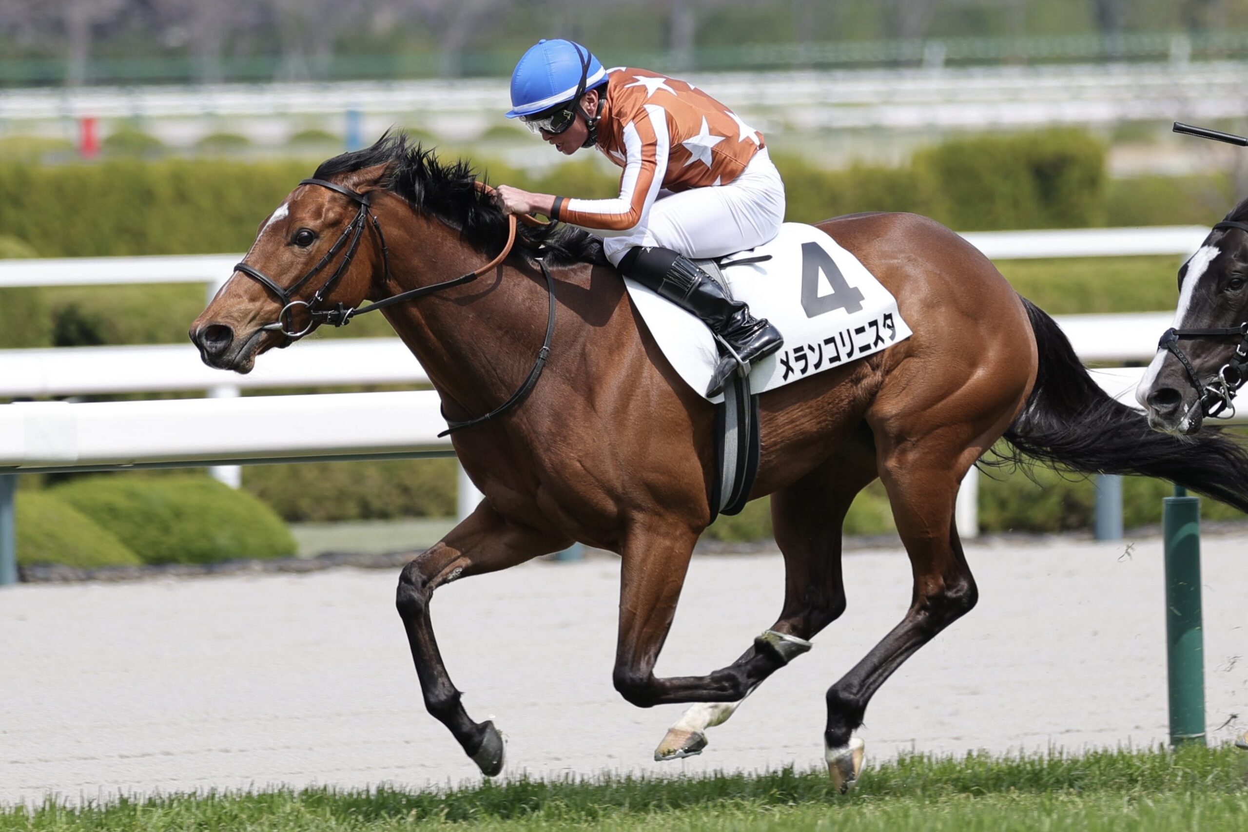 ［リーディング］調教師、種牡馬部門でリーディングトップが1ヶ月ぶりに入れ替わる