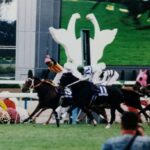 世代に翻弄された『女傑』。牡馬に果敢な挑戦を続けたダンスパートナーの物語