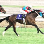 ビリーヴと安藤勝己騎手、ふたりで掴んだ“未来” - 2003年高松宮記念