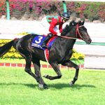 陽はまた昇る - コスモサンビーム